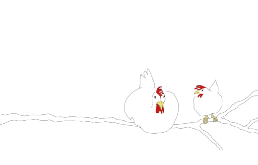 kokblog_chickens