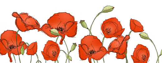 kokblog_poppies