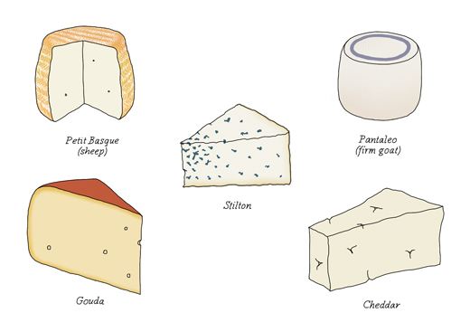 kindvall-MF-cheeses-progress