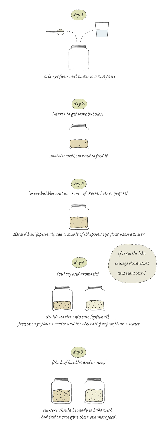 6 Tips for Feeding and Discarding Sourdough Starter » the